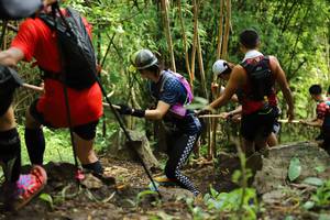 BIB: 
                            <button type="button" onclick="openModal(5072931)" class="btn btn-primary btn-sm float-right btn-popup" data-toggle="modal" data-target=".modal-high-quality">
                        <i class="fas fa-shopping-cart"></i> Add to Cart
                    </button>
                                            <button type="button" onclick="isThisMe(5072931, true)" class="btn btn-success btn-sm float-right btn-popup btn-isme hidden" data-toggle="tooltip" data-placement="bottom" title="นี่คือรูปของคุณใช่ไหม คลิกที่นี่เพื่อเอาเข้าอัลบั้ม">
                        <i class="fas fa-plus"></i> Add to album
                    </button>
                    <button type="button" onclick="isThisMe(5072931, false)" class="btn btn-warning btn-sm float-right btn-popup btn-isnotme hidden">
                        <i class="fas fa-ban"></i> Remove from album
                    </button>