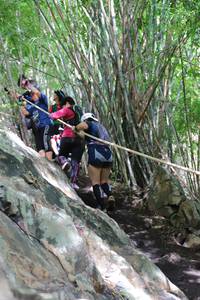 BIB: 
                            <button type="button" onclick="openModal(5117819)" class="btn btn-primary btn-sm float-right btn-popup" data-toggle="modal" data-target=".modal-high-quality">
                        <i class="fas fa-shopping-cart"></i> Add to Cart
                    </button>
                                            <button type="button" onclick="isThisMe(5117819, true)" class="btn btn-success btn-sm float-right btn-popup btn-isme hidden" data-toggle="tooltip" data-placement="bottom" title="นี่คือรูปของคุณใช่ไหม คลิกที่นี่เพื่อเอาเข้าอัลบั้ม">
                        <i class="fas fa-plus"></i> Add to album
                    </button>
                    <button type="button" onclick="isThisMe(5117819, false)" class="btn btn-warning btn-sm float-right btn-popup btn-isnotme hidden">
                        <i class="fas fa-ban"></i> Remove from album
                    </button>