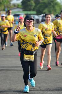 BIB: 0212
                            <button type="button" onclick="openModal(5202862)" class="btn btn-primary btn-sm float-right btn-popup" data-toggle="modal" data-target=".modal-high-quality">
                        <i class="fas fa-shopping-cart"></i> Add to Cart
                    </button>
                                            <button type="button" onclick="isThisMe(5202862, true)" class="btn btn-success btn-sm float-right btn-popup btn-isme hidden" data-toggle="tooltip" data-placement="bottom" title="นี่คือรูปของคุณใช่ไหม คลิกที่นี่เพื่อเอาเข้าอัลบั้ม">
                        <i class="fas fa-plus"></i> Add to album
                    </button>
                    <button type="button" onclick="isThisMe(5202862, false)" class="btn btn-warning btn-sm float-right btn-popup btn-isnotme hidden">
                        <i class="fas fa-ban"></i> Remove from album
                    </button>