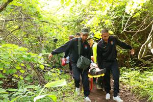 BIB: 
                            <button type="button" onclick="openModal(5188371)" class="btn btn-primary btn-sm float-right btn-popup" data-toggle="modal" data-target=".modal-high-quality">
                        <i class="fas fa-shopping-cart"></i> Add to Cart
                    </button>
                                            <button type="button" onclick="isThisMe(5188371, true)" class="btn btn-success btn-sm float-right btn-popup btn-isme hidden" data-toggle="tooltip" data-placement="bottom" title="นี่คือรูปของคุณใช่ไหม คลิกที่นี่เพื่อเอาเข้าอัลบั้ม">
                        <i class="fas fa-plus"></i> Add to album
                    </button>
                    <button type="button" onclick="isThisMe(5188371, false)" class="btn btn-warning btn-sm float-right btn-popup btn-isnotme hidden">
                        <i class="fas fa-ban"></i> Remove from album
                    </button>