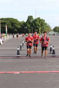 BIB: 
                            <button type="button" onclick="openModal(4994398)" class="btn btn-primary btn-sm float-right btn-popup" data-toggle="modal" data-target=".modal-high-quality">
                        <i class="fas fa-shopping-cart"></i> Add to Cart
                    </button>
                                            <button type="button" onclick="isThisMe(4994398, true)" class="btn btn-success btn-sm float-right btn-popup btn-isme hidden" data-toggle="tooltip" data-placement="bottom" title="นี่คือรูปของคุณใช่ไหม คลิกที่นี่เพื่อเอาเข้าอัลบั้ม">
                        <i class="fas fa-plus"></i> Add to album
                    </button>
                    <button type="button" onclick="isThisMe(4994398, false)" class="btn btn-warning btn-sm float-right btn-popup btn-isnotme hidden">
                        <i class="fas fa-ban"></i> Remove from album
                    </button>