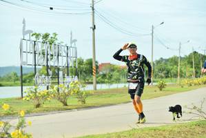 BIB: 
                            <button type="button" onclick="openModal(5129586)" class="btn btn-primary btn-sm float-right btn-popup" data-toggle="modal" data-target=".modal-high-quality">
                        <i class="fas fa-shopping-cart"></i> Add to Cart
                    </button>
                                            <button type="button" onclick="isThisMe(5129586, true)" class="btn btn-success btn-sm float-right btn-popup btn-isme hidden" data-toggle="tooltip" data-placement="bottom" title="นี่คือรูปของคุณใช่ไหม คลิกที่นี่เพื่อเอาเข้าอัลบั้ม">
                        <i class="fas fa-plus"></i> Add to album
                    </button>
                    <button type="button" onclick="isThisMe(5129586, false)" class="btn btn-warning btn-sm float-right btn-popup btn-isnotme hidden">
                        <i class="fas fa-ban"></i> Remove from album
                    </button>