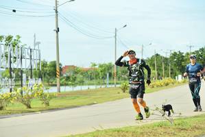 BIB: 
                            <button type="button" onclick="openModal(5129575)" class="btn btn-primary btn-sm float-right btn-popup" data-toggle="modal" data-target=".modal-high-quality">
                        <i class="fas fa-shopping-cart"></i> Add to Cart
                    </button>
                                            <button type="button" onclick="isThisMe(5129575, true)" class="btn btn-success btn-sm float-right btn-popup btn-isme hidden" data-toggle="tooltip" data-placement="bottom" title="นี่คือรูปของคุณใช่ไหม คลิกที่นี่เพื่อเอาเข้าอัลบั้ม">
                        <i class="fas fa-plus"></i> Add to album
                    </button>
                    <button type="button" onclick="isThisMe(5129575, false)" class="btn btn-warning btn-sm float-right btn-popup btn-isnotme hidden">
                        <i class="fas fa-ban"></i> Remove from album
                    </button>