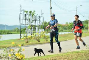 BIB: 
                            <button type="button" onclick="openModal(5129630)" class="btn btn-primary btn-sm float-right btn-popup" data-toggle="modal" data-target=".modal-high-quality">
                        <i class="fas fa-shopping-cart"></i> Add to Cart
                    </button>
                                            <button type="button" onclick="isThisMe(5129630, true)" class="btn btn-success btn-sm float-right btn-popup btn-isme hidden" data-toggle="tooltip" data-placement="bottom" title="นี่คือรูปของคุณใช่ไหม คลิกที่นี่เพื่อเอาเข้าอัลบั้ม">
                        <i class="fas fa-plus"></i> Add to album
                    </button>
                    <button type="button" onclick="isThisMe(5129630, false)" class="btn btn-warning btn-sm float-right btn-popup btn-isnotme hidden">
                        <i class="fas fa-ban"></i> Remove from album
                    </button>