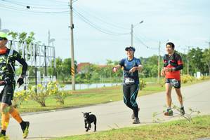 BIB: 
                            <button type="button" onclick="openModal(5129615)" class="btn btn-primary btn-sm float-right btn-popup" data-toggle="modal" data-target=".modal-high-quality">
                        <i class="fas fa-shopping-cart"></i> Add to Cart
                    </button>
                                            <button type="button" onclick="isThisMe(5129615, true)" class="btn btn-success btn-sm float-right btn-popup btn-isme hidden" data-toggle="tooltip" data-placement="bottom" title="นี่คือรูปของคุณใช่ไหม คลิกที่นี่เพื่อเอาเข้าอัลบั้ม">
                        <i class="fas fa-plus"></i> Add to album
                    </button>
                    <button type="button" onclick="isThisMe(5129615, false)" class="btn btn-warning btn-sm float-right btn-popup btn-isnotme hidden">
                        <i class="fas fa-ban"></i> Remove from album
                    </button>