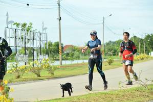 BIB: 
                            <button type="button" onclick="openModal(5129623)" class="btn btn-primary btn-sm float-right btn-popup" data-toggle="modal" data-target=".modal-high-quality">
                        <i class="fas fa-shopping-cart"></i> Add to Cart
                    </button>
                                            <button type="button" onclick="isThisMe(5129623, true)" class="btn btn-success btn-sm float-right btn-popup btn-isme hidden" data-toggle="tooltip" data-placement="bottom" title="นี่คือรูปของคุณใช่ไหม คลิกที่นี่เพื่อเอาเข้าอัลบั้ม">
                        <i class="fas fa-plus"></i> Add to album
                    </button>
                    <button type="button" onclick="isThisMe(5129623, false)" class="btn btn-warning btn-sm float-right btn-popup btn-isnotme hidden">
                        <i class="fas fa-ban"></i> Remove from album
                    </button>