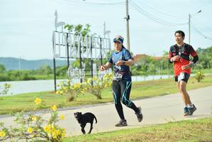 BIB: 4834
                            <button type="button" onclick="openModal(5129648)" class="btn btn-primary btn-sm float-right btn-popup" data-toggle="modal" data-target=".modal-high-quality">
                        <i class="fas fa-shopping-cart"></i> Add to Cart
                    </button>
                                            <button type="button" onclick="isThisMe(5129648, true)" class="btn btn-success btn-sm float-right btn-popup btn-isme hidden" data-toggle="tooltip" data-placement="bottom" title="นี่คือรูปของคุณใช่ไหม คลิกที่นี่เพื่อเอาเข้าอัลบั้ม">
                        <i class="fas fa-plus"></i> Add to album
                    </button>
                    <button type="button" onclick="isThisMe(5129648, false)" class="btn btn-warning btn-sm float-right btn-popup btn-isnotme hidden">
                        <i class="fas fa-ban"></i> Remove from album
                    </button>