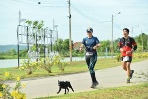 BIB: 
                            <button type="button" onclick="openModal(5129626)" class="btn btn-primary btn-sm float-right btn-popup" data-toggle="modal" data-target=".modal-high-quality">
                        <i class="fas fa-shopping-cart"></i> Add to Cart
                    </button>
                                            <button type="button" onclick="isThisMe(5129626, true)" class="btn btn-success btn-sm float-right btn-popup btn-isme hidden" data-toggle="tooltip" data-placement="bottom" title="นี่คือรูปของคุณใช่ไหม คลิกที่นี่เพื่อเอาเข้าอัลบั้ม">
                        <i class="fas fa-plus"></i> Add to album
                    </button>
                    <button type="button" onclick="isThisMe(5129626, false)" class="btn btn-warning btn-sm float-right btn-popup btn-isnotme hidden">
                        <i class="fas fa-ban"></i> Remove from album
                    </button>