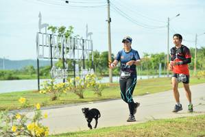 BIB: 
                            <button type="button" onclick="openModal(5129628)" class="btn btn-primary btn-sm float-right btn-popup" data-toggle="modal" data-target=".modal-high-quality">
                        <i class="fas fa-shopping-cart"></i> Add to Cart
                    </button>
                                            <button type="button" onclick="isThisMe(5129628, true)" class="btn btn-success btn-sm float-right btn-popup btn-isme hidden" data-toggle="tooltip" data-placement="bottom" title="นี่คือรูปของคุณใช่ไหม คลิกที่นี่เพื่อเอาเข้าอัลบั้ม">
                        <i class="fas fa-plus"></i> Add to album
                    </button>
                    <button type="button" onclick="isThisMe(5129628, false)" class="btn btn-warning btn-sm float-right btn-popup btn-isnotme hidden">
                        <i class="fas fa-ban"></i> Remove from album
                    </button>