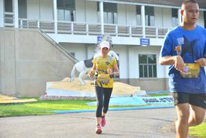 BIB: 2566
                            <button type="button" onclick="openModal(5188839)" class="btn btn-primary btn-sm float-right btn-popup" data-toggle="modal" data-target=".modal-high-quality">
                        <i class="fas fa-shopping-cart"></i> Add to Cart
                    </button>
                                            <button type="button" onclick="isThisMe(5188839, true)" class="btn btn-success btn-sm float-right btn-popup btn-isme hidden" data-toggle="tooltip" data-placement="bottom" title="นี่คือรูปของคุณใช่ไหม คลิกที่นี่เพื่อเอาเข้าอัลบั้ม">
                        <i class="fas fa-plus"></i> Add to album
                    </button>
                    <button type="button" onclick="isThisMe(5188839, false)" class="btn btn-warning btn-sm float-right btn-popup btn-isnotme hidden">
                        <i class="fas fa-ban"></i> Remove from album
                    </button>