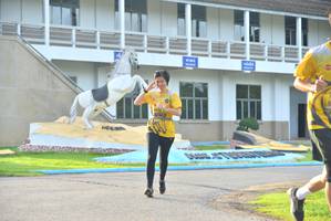 BIB: 
                            <button type="button" onclick="openModal(5188649)" class="btn btn-primary btn-sm float-right btn-popup" data-toggle="modal" data-target=".modal-high-quality">
                        <i class="fas fa-shopping-cart"></i> Add to Cart
                    </button>
                                            <button type="button" onclick="isThisMe(5188649, true)" class="btn btn-success btn-sm float-right btn-popup btn-isme hidden" data-toggle="tooltip" data-placement="bottom" title="นี่คือรูปของคุณใช่ไหม คลิกที่นี่เพื่อเอาเข้าอัลบั้ม">
                        <i class="fas fa-plus"></i> Add to album
                    </button>
                    <button type="button" onclick="isThisMe(5188649, false)" class="btn btn-warning btn-sm float-right btn-popup btn-isnotme hidden">
                        <i class="fas fa-ban"></i> Remove from album
                    </button>