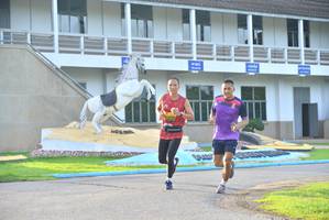 BIB: 
                            <button type="button" onclick="openModal(5133647)" class="btn btn-primary btn-sm float-right btn-popup" data-toggle="modal" data-target=".modal-high-quality">
                        <i class="fas fa-shopping-cart"></i> Add to Cart
                    </button>
                                            <button type="button" onclick="isThisMe(5133647, true)" class="btn btn-success btn-sm float-right btn-popup btn-isme hidden" data-toggle="tooltip" data-placement="bottom" title="นี่คือรูปของคุณใช่ไหม คลิกที่นี่เพื่อเอาเข้าอัลบั้ม">
                        <i class="fas fa-plus"></i> Add to album
                    </button>
                    <button type="button" onclick="isThisMe(5133647, false)" class="btn btn-warning btn-sm float-right btn-popup btn-isnotme hidden">
                        <i class="fas fa-ban"></i> Remove from album
                    </button>