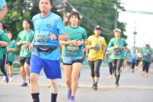 BIB: 119
                            <button type="button" onclick="openModal(5065263)" class="btn btn-primary btn-sm float-right btn-popup" data-toggle="modal" data-target=".modal-high-quality">
                        <i class="fas fa-shopping-cart"></i> Add to Cart
                    </button>
                                            <button type="button" onclick="isThisMe(5065263, true)" class="btn btn-success btn-sm float-right btn-popup btn-isme hidden" data-toggle="tooltip" data-placement="bottom" title="นี่คือรูปของคุณใช่ไหม คลิกที่นี่เพื่อเอาเข้าอัลบั้ม">
                        <i class="fas fa-plus"></i> Add to album
                    </button>
                    <button type="button" onclick="isThisMe(5065263, false)" class="btn btn-warning btn-sm float-right btn-popup btn-isnotme hidden">
                        <i class="fas fa-ban"></i> Remove from album
                    </button>