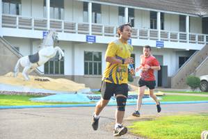 BIB: 
                            <button type="button" onclick="openModal(5188938)" class="btn btn-primary btn-sm float-right btn-popup" data-toggle="modal" data-target=".modal-high-quality">
                        <i class="fas fa-shopping-cart"></i> Add to Cart
                    </button>
                                            <button type="button" onclick="isThisMe(5188938, true)" class="btn btn-success btn-sm float-right btn-popup btn-isme hidden" data-toggle="tooltip" data-placement="bottom" title="นี่คือรูปของคุณใช่ไหม คลิกที่นี่เพื่อเอาเข้าอัลบั้ม">
                        <i class="fas fa-plus"></i> Add to album
                    </button>
                    <button type="button" onclick="isThisMe(5188938, false)" class="btn btn-warning btn-sm float-right btn-popup btn-isnotme hidden">
                        <i class="fas fa-ban"></i> Remove from album
                    </button>