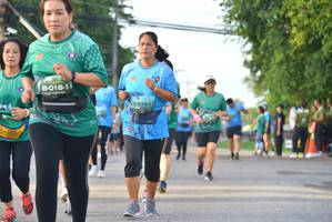 BIB: 
                            <button type="button" onclick="openModal(5079616)" class="btn btn-primary btn-sm float-right btn-popup" data-toggle="modal" data-target=".modal-high-quality">
                        <i class="fas fa-shopping-cart"></i> Add to Cart
                    </button>
                                            <button type="button" onclick="isThisMe(5079616, true)" class="btn btn-success btn-sm float-right btn-popup btn-isme hidden" data-toggle="tooltip" data-placement="bottom" title="นี่คือรูปของคุณใช่ไหม คลิกที่นี่เพื่อเอาเข้าอัลบั้ม">
                        <i class="fas fa-plus"></i> Add to album
                    </button>
                    <button type="button" onclick="isThisMe(5079616, false)" class="btn btn-warning btn-sm float-right btn-popup btn-isnotme hidden">
                        <i class="fas fa-ban"></i> Remove from album
                    </button>