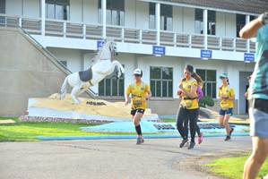 BIB: 
                            <button type="button" onclick="openModal(5190970)" class="btn btn-primary btn-sm float-right btn-popup" data-toggle="modal" data-target=".modal-high-quality">
                        <i class="fas fa-shopping-cart"></i> Add to Cart
                    </button>
                                            <button type="button" onclick="isThisMe(5190970, true)" class="btn btn-success btn-sm float-right btn-popup btn-isme hidden" data-toggle="tooltip" data-placement="bottom" title="นี่คือรูปของคุณใช่ไหม คลิกที่นี่เพื่อเอาเข้าอัลบั้ม">
                        <i class="fas fa-plus"></i> Add to album
                    </button>
                    <button type="button" onclick="isThisMe(5190970, false)" class="btn btn-warning btn-sm float-right btn-popup btn-isnotme hidden">
                        <i class="fas fa-ban"></i> Remove from album
                    </button>