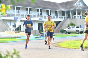 BIB: 
                            <button type="button" onclick="openModal(5242594)" class="btn btn-primary btn-sm float-right btn-popup" data-toggle="modal" data-target=".modal-high-quality">
                        <i class="fas fa-shopping-cart"></i> Add to Cart
                    </button>
                                            <button type="button" onclick="isThisMe(5242594, true)" class="btn btn-success btn-sm float-right btn-popup btn-isme hidden" data-toggle="tooltip" data-placement="bottom" title="นี่คือรูปของคุณใช่ไหม คลิกที่นี่เพื่อเอาเข้าอัลบั้ม">
                        <i class="fas fa-plus"></i> Add to album
                    </button>
                    <button type="button" onclick="isThisMe(5242594, false)" class="btn btn-warning btn-sm float-right btn-popup btn-isnotme hidden">
                        <i class="fas fa-ban"></i> Remove from album
                    </button>