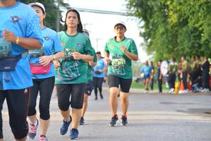 BIB: 
                            <button type="button" onclick="openModal(5079690)" class="btn btn-primary btn-sm float-right btn-popup" data-toggle="modal" data-target=".modal-high-quality">
                        <i class="fas fa-shopping-cart"></i> Add to Cart
                    </button>
                                            <button type="button" onclick="isThisMe(5079690, true)" class="btn btn-success btn-sm float-right btn-popup btn-isme hidden" data-toggle="tooltip" data-placement="bottom" title="นี่คือรูปของคุณใช่ไหม คลิกที่นี่เพื่อเอาเข้าอัลบั้ม">
                        <i class="fas fa-plus"></i> Add to album
                    </button>
                    <button type="button" onclick="isThisMe(5079690, false)" class="btn btn-warning btn-sm float-right btn-popup btn-isnotme hidden">
                        <i class="fas fa-ban"></i> Remove from album
                    </button>