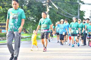 BIB: 3811
                            <button type="button" onclick="openModal(5242570)" class="btn btn-primary btn-sm float-right btn-popup" data-toggle="modal" data-target=".modal-high-quality">
                        <i class="fas fa-shopping-cart"></i> Add to Cart
                    </button>
                                            <button type="button" onclick="isThisMe(5242570, true)" class="btn btn-success btn-sm float-right btn-popup btn-isme hidden" data-toggle="tooltip" data-placement="bottom" title="นี่คือรูปของคุณใช่ไหม คลิกที่นี่เพื่อเอาเข้าอัลบั้ม">
                        <i class="fas fa-plus"></i> Add to album
                    </button>
                    <button type="button" onclick="isThisMe(5242570, false)" class="btn btn-warning btn-sm float-right btn-popup btn-isnotme hidden">
                        <i class="fas fa-ban"></i> Remove from album
                    </button>