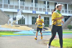 BIB: 
                            <button type="button" onclick="openModal(5190401)" class="btn btn-primary btn-sm float-right btn-popup" data-toggle="modal" data-target=".modal-high-quality">
                        <i class="fas fa-shopping-cart"></i> Add to Cart
                    </button>
                                            <button type="button" onclick="isThisMe(5190401, true)" class="btn btn-success btn-sm float-right btn-popup btn-isme hidden" data-toggle="tooltip" data-placement="bottom" title="นี่คือรูปของคุณใช่ไหม คลิกที่นี่เพื่อเอาเข้าอัลบั้ม">
                        <i class="fas fa-plus"></i> Add to album
                    </button>
                    <button type="button" onclick="isThisMe(5190401, false)" class="btn btn-warning btn-sm float-right btn-popup btn-isnotme hidden">
                        <i class="fas fa-ban"></i> Remove from album
                    </button>