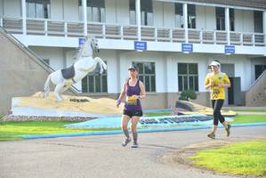 BIB: 
                            <button type="button" onclick="openModal(5188759)" class="btn btn-primary btn-sm float-right btn-popup" data-toggle="modal" data-target=".modal-high-quality">
                        <i class="fas fa-shopping-cart"></i> Add to Cart
                    </button>
                                            <button type="button" onclick="isThisMe(5188759, true)" class="btn btn-success btn-sm float-right btn-popup btn-isme hidden" data-toggle="tooltip" data-placement="bottom" title="นี่คือรูปของคุณใช่ไหม คลิกที่นี่เพื่อเอาเข้าอัลบั้ม">
                        <i class="fas fa-plus"></i> Add to album
                    </button>
                    <button type="button" onclick="isThisMe(5188759, false)" class="btn btn-warning btn-sm float-right btn-popup btn-isnotme hidden">
                        <i class="fas fa-ban"></i> Remove from album
                    </button>