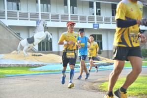 BIB: 0020
                            <button type="button" onclick="openModal(5149869)" class="btn btn-primary btn-sm float-right btn-popup" data-toggle="modal" data-target=".modal-high-quality">
                        <i class="fas fa-shopping-cart"></i> Add to Cart
                    </button>
                                            <button type="button" onclick="isThisMe(5149869, true)" class="btn btn-success btn-sm float-right btn-popup btn-isme hidden" data-toggle="tooltip" data-placement="bottom" title="นี่คือรูปของคุณใช่ไหม คลิกที่นี่เพื่อเอาเข้าอัลบั้ม">
                        <i class="fas fa-plus"></i> Add to album
                    </button>
                    <button type="button" onclick="isThisMe(5149869, false)" class="btn btn-warning btn-sm float-right btn-popup btn-isnotme hidden">
                        <i class="fas fa-ban"></i> Remove from album
                    </button>