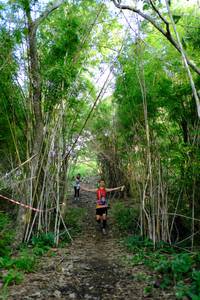 BIB: 
                            <button type="button" onclick="openModal(5139297)" class="btn btn-primary btn-sm float-right btn-popup" data-toggle="modal" data-target=".modal-high-quality">
                        <i class="fas fa-shopping-cart"></i> Add to Cart
                    </button>
                                            <button type="button" onclick="isThisMe(5139297, true)" class="btn btn-success btn-sm float-right btn-popup btn-isme hidden" data-toggle="tooltip" data-placement="bottom" title="นี่คือรูปของคุณใช่ไหม คลิกที่นี่เพื่อเอาเข้าอัลบั้ม">
                        <i class="fas fa-plus"></i> Add to album
                    </button>
                    <button type="button" onclick="isThisMe(5139297, false)" class="btn btn-warning btn-sm float-right btn-popup btn-isnotme hidden">
                        <i class="fas fa-ban"></i> Remove from album
                    </button>