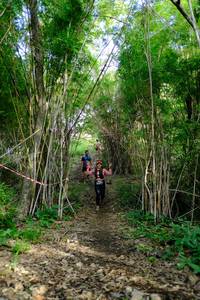 BIB: 
                            <button type="button" onclick="openModal(5139410)" class="btn btn-primary btn-sm float-right btn-popup" data-toggle="modal" data-target=".modal-high-quality">
                        <i class="fas fa-shopping-cart"></i> Add to Cart
                    </button>
                                            <button type="button" onclick="isThisMe(5139410, true)" class="btn btn-success btn-sm float-right btn-popup btn-isme hidden" data-toggle="tooltip" data-placement="bottom" title="นี่คือรูปของคุณใช่ไหม คลิกที่นี่เพื่อเอาเข้าอัลบั้ม">
                        <i class="fas fa-plus"></i> Add to album
                    </button>
                    <button type="button" onclick="isThisMe(5139410, false)" class="btn btn-warning btn-sm float-right btn-popup btn-isnotme hidden">
                        <i class="fas fa-ban"></i> Remove from album
                    </button>