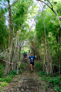 BIB: 
                            <button type="button" onclick="openModal(5139320)" class="btn btn-primary btn-sm float-right btn-popup" data-toggle="modal" data-target=".modal-high-quality">
                        <i class="fas fa-shopping-cart"></i> Add to Cart
                    </button>
                                            <button type="button" onclick="isThisMe(5139320, true)" class="btn btn-success btn-sm float-right btn-popup btn-isme hidden" data-toggle="tooltip" data-placement="bottom" title="นี่คือรูปของคุณใช่ไหม คลิกที่นี่เพื่อเอาเข้าอัลบั้ม">
                        <i class="fas fa-plus"></i> Add to album
                    </button>
                    <button type="button" onclick="isThisMe(5139320, false)" class="btn btn-warning btn-sm float-right btn-popup btn-isnotme hidden">
                        <i class="fas fa-ban"></i> Remove from album
                    </button>