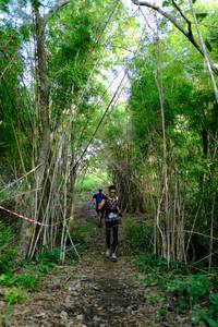 BIB: 
                            <button type="button" onclick="openModal(5139306)" class="btn btn-primary btn-sm float-right btn-popup" data-toggle="modal" data-target=".modal-high-quality">
                        <i class="fas fa-shopping-cart"></i> Add to Cart
                    </button>
                                            <button type="button" onclick="isThisMe(5139306, true)" class="btn btn-success btn-sm float-right btn-popup btn-isme hidden" data-toggle="tooltip" data-placement="bottom" title="นี่คือรูปของคุณใช่ไหม คลิกที่นี่เพื่อเอาเข้าอัลบั้ม">
                        <i class="fas fa-plus"></i> Add to album
                    </button>
                    <button type="button" onclick="isThisMe(5139306, false)" class="btn btn-warning btn-sm float-right btn-popup btn-isnotme hidden">
                        <i class="fas fa-ban"></i> Remove from album
                    </button>