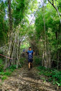 BIB: 
                            <button type="button" onclick="openModal(5139447)" class="btn btn-primary btn-sm float-right btn-popup" data-toggle="modal" data-target=".modal-high-quality">
                        <i class="fas fa-shopping-cart"></i> Add to Cart
                    </button>
                                            <button type="button" onclick="isThisMe(5139447, true)" class="btn btn-success btn-sm float-right btn-popup btn-isme hidden" data-toggle="tooltip" data-placement="bottom" title="นี่คือรูปของคุณใช่ไหม คลิกที่นี่เพื่อเอาเข้าอัลบั้ม">
                        <i class="fas fa-plus"></i> Add to album
                    </button>
                    <button type="button" onclick="isThisMe(5139447, false)" class="btn btn-warning btn-sm float-right btn-popup btn-isnotme hidden">
                        <i class="fas fa-ban"></i> Remove from album
                    </button>