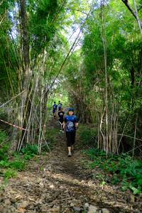 BIB: 
                            <button type="button" onclick="openModal(5139440)" class="btn btn-primary btn-sm float-right btn-popup" data-toggle="modal" data-target=".modal-high-quality">
                        <i class="fas fa-shopping-cart"></i> Add to Cart
                    </button>
                                            <button type="button" onclick="isThisMe(5139440, true)" class="btn btn-success btn-sm float-right btn-popup btn-isme hidden" data-toggle="tooltip" data-placement="bottom" title="นี่คือรูปของคุณใช่ไหม คลิกที่นี่เพื่อเอาเข้าอัลบั้ม">
                        <i class="fas fa-plus"></i> Add to album
                    </button>
                    <button type="button" onclick="isThisMe(5139440, false)" class="btn btn-warning btn-sm float-right btn-popup btn-isnotme hidden">
                        <i class="fas fa-ban"></i> Remove from album
                    </button>