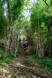 BIB: 
                            <button type="button" onclick="openModal(5139414)" class="btn btn-primary btn-sm float-right btn-popup" data-toggle="modal" data-target=".modal-high-quality">
                        <i class="fas fa-shopping-cart"></i> Add to Cart
                    </button>
                                            <button type="button" onclick="isThisMe(5139414, true)" class="btn btn-success btn-sm float-right btn-popup btn-isme hidden" data-toggle="tooltip" data-placement="bottom" title="นี่คือรูปของคุณใช่ไหม คลิกที่นี่เพื่อเอาเข้าอัลบั้ม">
                        <i class="fas fa-plus"></i> Add to album
                    </button>
                    <button type="button" onclick="isThisMe(5139414, false)" class="btn btn-warning btn-sm float-right btn-popup btn-isnotme hidden">
                        <i class="fas fa-ban"></i> Remove from album
                    </button>