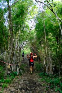 BIB: 
                            <button type="button" onclick="openModal(5139283)" class="btn btn-primary btn-sm float-right btn-popup" data-toggle="modal" data-target=".modal-high-quality">
                        <i class="fas fa-shopping-cart"></i> Add to Cart
                    </button>
                                            <button type="button" onclick="isThisMe(5139283, true)" class="btn btn-success btn-sm float-right btn-popup btn-isme hidden" data-toggle="tooltip" data-placement="bottom" title="นี่คือรูปของคุณใช่ไหม คลิกที่นี่เพื่อเอาเข้าอัลบั้ม">
                        <i class="fas fa-plus"></i> Add to album
                    </button>
                    <button type="button" onclick="isThisMe(5139283, false)" class="btn btn-warning btn-sm float-right btn-popup btn-isnotme hidden">
                        <i class="fas fa-ban"></i> Remove from album
                    </button>