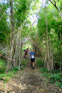 BIB: 
                            <button type="button" onclick="openModal(5139367)" class="btn btn-primary btn-sm float-right btn-popup" data-toggle="modal" data-target=".modal-high-quality">
                        <i class="fas fa-shopping-cart"></i> Add to Cart
                    </button>
                                            <button type="button" onclick="isThisMe(5139367, true)" class="btn btn-success btn-sm float-right btn-popup btn-isme hidden" data-toggle="tooltip" data-placement="bottom" title="นี่คือรูปของคุณใช่ไหม คลิกที่นี่เพื่อเอาเข้าอัลบั้ม">
                        <i class="fas fa-plus"></i> Add to album
                    </button>
                    <button type="button" onclick="isThisMe(5139367, false)" class="btn btn-warning btn-sm float-right btn-popup btn-isnotme hidden">
                        <i class="fas fa-ban"></i> Remove from album
                    </button>