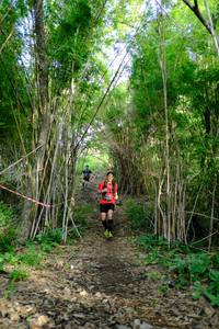 BIB: 
                            <button type="button" onclick="openModal(5139374)" class="btn btn-primary btn-sm float-right btn-popup" data-toggle="modal" data-target=".modal-high-quality">
                        <i class="fas fa-shopping-cart"></i> Add to Cart
                    </button>
                                            <button type="button" onclick="isThisMe(5139374, true)" class="btn btn-success btn-sm float-right btn-popup btn-isme hidden" data-toggle="tooltip" data-placement="bottom" title="นี่คือรูปของคุณใช่ไหม คลิกที่นี่เพื่อเอาเข้าอัลบั้ม">
                        <i class="fas fa-plus"></i> Add to album
                    </button>
                    <button type="button" onclick="isThisMe(5139374, false)" class="btn btn-warning btn-sm float-right btn-popup btn-isnotme hidden">
                        <i class="fas fa-ban"></i> Remove from album
                    </button>