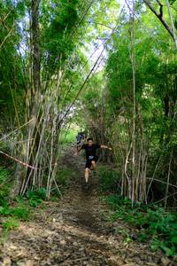 BIB: 
                            <button type="button" onclick="openModal(5139442)" class="btn btn-primary btn-sm float-right btn-popup" data-toggle="modal" data-target=".modal-high-quality">
                        <i class="fas fa-shopping-cart"></i> Add to Cart
                    </button>
                                            <button type="button" onclick="isThisMe(5139442, true)" class="btn btn-success btn-sm float-right btn-popup btn-isme hidden" data-toggle="tooltip" data-placement="bottom" title="นี่คือรูปของคุณใช่ไหม คลิกที่นี่เพื่อเอาเข้าอัลบั้ม">
                        <i class="fas fa-plus"></i> Add to album
                    </button>
                    <button type="button" onclick="isThisMe(5139442, false)" class="btn btn-warning btn-sm float-right btn-popup btn-isnotme hidden">
                        <i class="fas fa-ban"></i> Remove from album
                    </button>