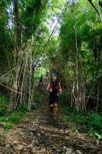 BIB: 
                            <button type="button" onclick="openModal(5139463)" class="btn btn-primary btn-sm float-right btn-popup" data-toggle="modal" data-target=".modal-high-quality">
                        <i class="fas fa-shopping-cart"></i> Add to Cart
                    </button>
                                            <button type="button" onclick="isThisMe(5139463, true)" class="btn btn-success btn-sm float-right btn-popup btn-isme hidden" data-toggle="tooltip" data-placement="bottom" title="นี่คือรูปของคุณใช่ไหม คลิกที่นี่เพื่อเอาเข้าอัลบั้ม">
                        <i class="fas fa-plus"></i> Add to album
                    </button>
                    <button type="button" onclick="isThisMe(5139463, false)" class="btn btn-warning btn-sm float-right btn-popup btn-isnotme hidden">
                        <i class="fas fa-ban"></i> Remove from album
                    </button>