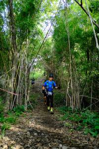 BIB: 
                            <button type="button" onclick="openModal(5139419)" class="btn btn-primary btn-sm float-right btn-popup" data-toggle="modal" data-target=".modal-high-quality">
                        <i class="fas fa-shopping-cart"></i> Add to Cart
                    </button>
                                            <button type="button" onclick="isThisMe(5139419, true)" class="btn btn-success btn-sm float-right btn-popup btn-isme hidden" data-toggle="tooltip" data-placement="bottom" title="นี่คือรูปของคุณใช่ไหม คลิกที่นี่เพื่อเอาเข้าอัลบั้ม">
                        <i class="fas fa-plus"></i> Add to album
                    </button>
                    <button type="button" onclick="isThisMe(5139419, false)" class="btn btn-warning btn-sm float-right btn-popup btn-isnotme hidden">
                        <i class="fas fa-ban"></i> Remove from album
                    </button>