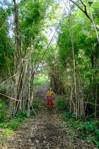 BIB: 
                            <button type="button" onclick="openModal(5139327)" class="btn btn-primary btn-sm float-right btn-popup" data-toggle="modal" data-target=".modal-high-quality">
                        <i class="fas fa-shopping-cart"></i> Add to Cart
                    </button>
                                            <button type="button" onclick="isThisMe(5139327, true)" class="btn btn-success btn-sm float-right btn-popup btn-isme hidden" data-toggle="tooltip" data-placement="bottom" title="นี่คือรูปของคุณใช่ไหม คลิกที่นี่เพื่อเอาเข้าอัลบั้ม">
                        <i class="fas fa-plus"></i> Add to album
                    </button>
                    <button type="button" onclick="isThisMe(5139327, false)" class="btn btn-warning btn-sm float-right btn-popup btn-isnotme hidden">
                        <i class="fas fa-ban"></i> Remove from album
                    </button>