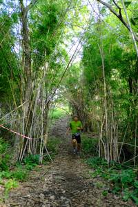 BIB: 
                            <button type="button" onclick="openModal(5139326)" class="btn btn-primary btn-sm float-right btn-popup" data-toggle="modal" data-target=".modal-high-quality">
                        <i class="fas fa-shopping-cart"></i> Add to Cart
                    </button>
                                            <button type="button" onclick="isThisMe(5139326, true)" class="btn btn-success btn-sm float-right btn-popup btn-isme hidden" data-toggle="tooltip" data-placement="bottom" title="นี่คือรูปของคุณใช่ไหม คลิกที่นี่เพื่อเอาเข้าอัลบั้ม">
                        <i class="fas fa-plus"></i> Add to album
                    </button>
                    <button type="button" onclick="isThisMe(5139326, false)" class="btn btn-warning btn-sm float-right btn-popup btn-isnotme hidden">
                        <i class="fas fa-ban"></i> Remove from album
                    </button>