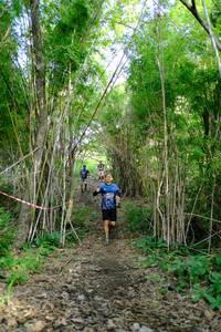 BIB: 
                            <button type="button" onclick="openModal(5139351)" class="btn btn-primary btn-sm float-right btn-popup" data-toggle="modal" data-target=".modal-high-quality">
                        <i class="fas fa-shopping-cart"></i> Add to Cart
                    </button>
                                            <button type="button" onclick="isThisMe(5139351, true)" class="btn btn-success btn-sm float-right btn-popup btn-isme hidden" data-toggle="tooltip" data-placement="bottom" title="นี่คือรูปของคุณใช่ไหม คลิกที่นี่เพื่อเอาเข้าอัลบั้ม">
                        <i class="fas fa-plus"></i> Add to album
                    </button>
                    <button type="button" onclick="isThisMe(5139351, false)" class="btn btn-warning btn-sm float-right btn-popup btn-isnotme hidden">
                        <i class="fas fa-ban"></i> Remove from album
                    </button>