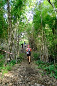 BIB: 
                            <button type="button" onclick="openModal(5139341)" class="btn btn-primary btn-sm float-right btn-popup" data-toggle="modal" data-target=".modal-high-quality">
                        <i class="fas fa-shopping-cart"></i> Add to Cart
                    </button>
                                            <button type="button" onclick="isThisMe(5139341, true)" class="btn btn-success btn-sm float-right btn-popup btn-isme hidden" data-toggle="tooltip" data-placement="bottom" title="นี่คือรูปของคุณใช่ไหม คลิกที่นี่เพื่อเอาเข้าอัลบั้ม">
                        <i class="fas fa-plus"></i> Add to album
                    </button>
                    <button type="button" onclick="isThisMe(5139341, false)" class="btn btn-warning btn-sm float-right btn-popup btn-isnotme hidden">
                        <i class="fas fa-ban"></i> Remove from album
                    </button>