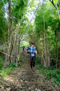 BIB: 
                            <button type="button" onclick="openModal(5139349)" class="btn btn-primary btn-sm float-right btn-popup" data-toggle="modal" data-target=".modal-high-quality">
                        <i class="fas fa-shopping-cart"></i> Add to Cart
                    </button>
                                            <button type="button" onclick="isThisMe(5139349, true)" class="btn btn-success btn-sm float-right btn-popup btn-isme hidden" data-toggle="tooltip" data-placement="bottom" title="นี่คือรูปของคุณใช่ไหม คลิกที่นี่เพื่อเอาเข้าอัลบั้ม">
                        <i class="fas fa-plus"></i> Add to album
                    </button>
                    <button type="button" onclick="isThisMe(5139349, false)" class="btn btn-warning btn-sm float-right btn-popup btn-isnotme hidden">
                        <i class="fas fa-ban"></i> Remove from album
                    </button>