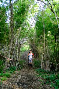 BIB: 
                            <button type="button" onclick="openModal(5139264)" class="btn btn-primary btn-sm float-right btn-popup" data-toggle="modal" data-target=".modal-high-quality">
                        <i class="fas fa-shopping-cart"></i> Add to Cart
                    </button>
                                            <button type="button" onclick="isThisMe(5139264, true)" class="btn btn-success btn-sm float-right btn-popup btn-isme hidden" data-toggle="tooltip" data-placement="bottom" title="นี่คือรูปของคุณใช่ไหม คลิกที่นี่เพื่อเอาเข้าอัลบั้ม">
                        <i class="fas fa-plus"></i> Add to album
                    </button>
                    <button type="button" onclick="isThisMe(5139264, false)" class="btn btn-warning btn-sm float-right btn-popup btn-isnotme hidden">
                        <i class="fas fa-ban"></i> Remove from album
                    </button>