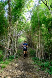 BIB: 
                            <button type="button" onclick="openModal(5139377)" class="btn btn-primary btn-sm float-right btn-popup" data-toggle="modal" data-target=".modal-high-quality">
                        <i class="fas fa-shopping-cart"></i> Add to Cart
                    </button>
                                            <button type="button" onclick="isThisMe(5139377, true)" class="btn btn-success btn-sm float-right btn-popup btn-isme hidden" data-toggle="tooltip" data-placement="bottom" title="นี่คือรูปของคุณใช่ไหม คลิกที่นี่เพื่อเอาเข้าอัลบั้ม">
                        <i class="fas fa-plus"></i> Add to album
                    </button>
                    <button type="button" onclick="isThisMe(5139377, false)" class="btn btn-warning btn-sm float-right btn-popup btn-isnotme hidden">
                        <i class="fas fa-ban"></i> Remove from album
                    </button>