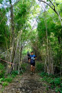 BIB: 
                            <button type="button" onclick="openModal(5139302)" class="btn btn-primary btn-sm float-right btn-popup" data-toggle="modal" data-target=".modal-high-quality">
                        <i class="fas fa-shopping-cart"></i> Add to Cart
                    </button>
                                            <button type="button" onclick="isThisMe(5139302, true)" class="btn btn-success btn-sm float-right btn-popup btn-isme hidden" data-toggle="tooltip" data-placement="bottom" title="นี่คือรูปของคุณใช่ไหม คลิกที่นี่เพื่อเอาเข้าอัลบั้ม">
                        <i class="fas fa-plus"></i> Add to album
                    </button>
                    <button type="button" onclick="isThisMe(5139302, false)" class="btn btn-warning btn-sm float-right btn-popup btn-isnotme hidden">
                        <i class="fas fa-ban"></i> Remove from album
                    </button>