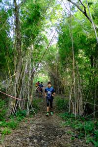 BIB: 
                            <button type="button" onclick="openModal(5139308)" class="btn btn-primary btn-sm float-right btn-popup" data-toggle="modal" data-target=".modal-high-quality">
                        <i class="fas fa-shopping-cart"></i> Add to Cart
                    </button>
                                            <button type="button" onclick="isThisMe(5139308, true)" class="btn btn-success btn-sm float-right btn-popup btn-isme hidden" data-toggle="tooltip" data-placement="bottom" title="นี่คือรูปของคุณใช่ไหม คลิกที่นี่เพื่อเอาเข้าอัลบั้ม">
                        <i class="fas fa-plus"></i> Add to album
                    </button>
                    <button type="button" onclick="isThisMe(5139308, false)" class="btn btn-warning btn-sm float-right btn-popup btn-isnotme hidden">
                        <i class="fas fa-ban"></i> Remove from album
                    </button>