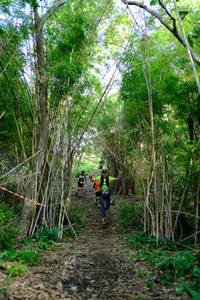 BIB: 
                            <button type="button" onclick="openModal(5139253)" class="btn btn-primary btn-sm float-right btn-popup" data-toggle="modal" data-target=".modal-high-quality">
                        <i class="fas fa-shopping-cart"></i> Add to Cart
                    </button>
                                            <button type="button" onclick="isThisMe(5139253, true)" class="btn btn-success btn-sm float-right btn-popup btn-isme hidden" data-toggle="tooltip" data-placement="bottom" title="นี่คือรูปของคุณใช่ไหม คลิกที่นี่เพื่อเอาเข้าอัลบั้ม">
                        <i class="fas fa-plus"></i> Add to album
                    </button>
                    <button type="button" onclick="isThisMe(5139253, false)" class="btn btn-warning btn-sm float-right btn-popup btn-isnotme hidden">
                        <i class="fas fa-ban"></i> Remove from album
                    </button>