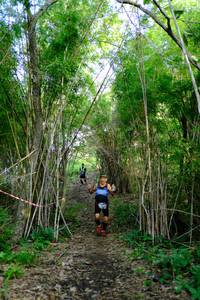 BIB: 
                            <button type="button" onclick="openModal(5139295)" class="btn btn-primary btn-sm float-right btn-popup" data-toggle="modal" data-target=".modal-high-quality">
                        <i class="fas fa-shopping-cart"></i> Add to Cart
                    </button>
                                            <button type="button" onclick="isThisMe(5139295, true)" class="btn btn-success btn-sm float-right btn-popup btn-isme hidden" data-toggle="tooltip" data-placement="bottom" title="นี่คือรูปของคุณใช่ไหม คลิกที่นี่เพื่อเอาเข้าอัลบั้ม">
                        <i class="fas fa-plus"></i> Add to album
                    </button>
                    <button type="button" onclick="isThisMe(5139295, false)" class="btn btn-warning btn-sm float-right btn-popup btn-isnotme hidden">
                        <i class="fas fa-ban"></i> Remove from album
                    </button>